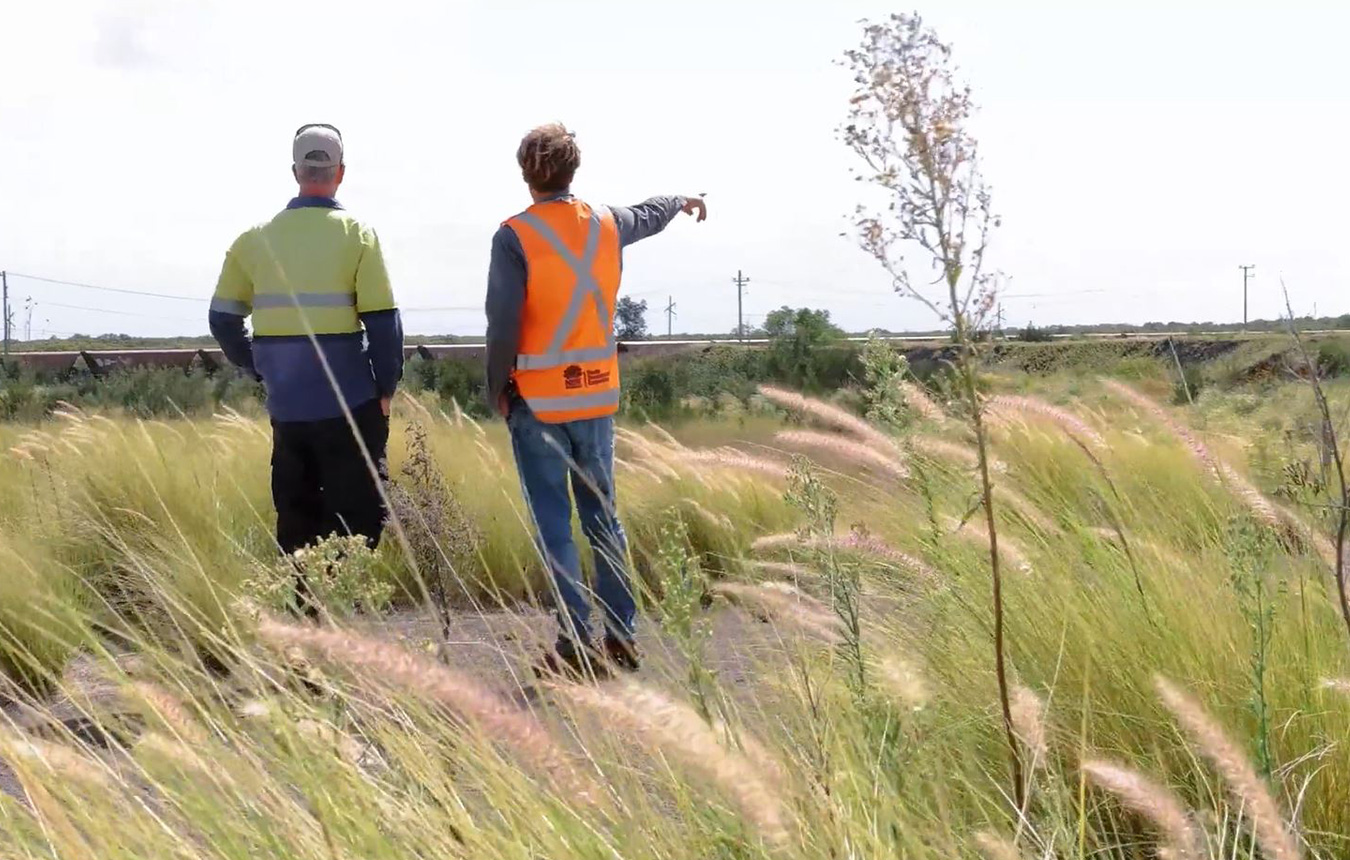 Kooragang Island remediation works