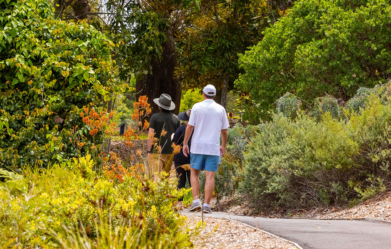 Mount Penang Gardens, Central Coast